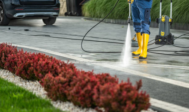 Best Building Exterior Pressure Washing in Morton, MS